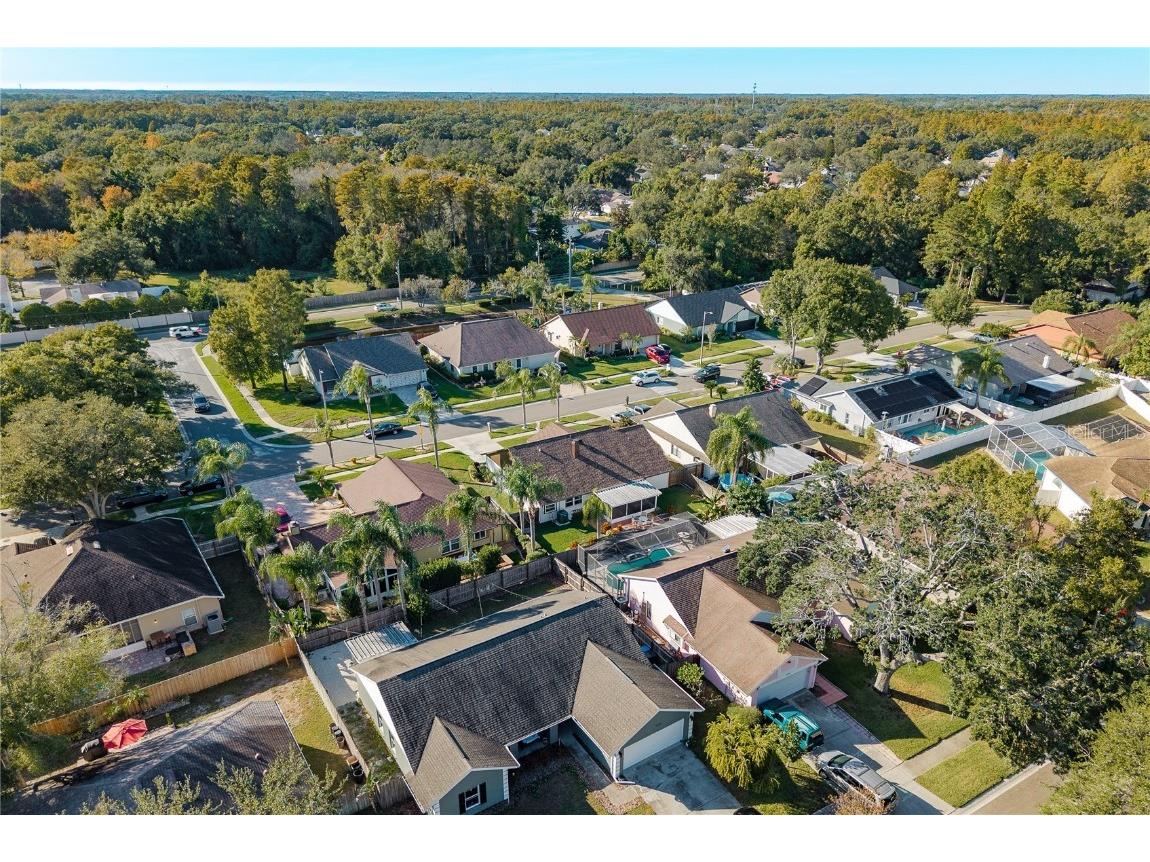 14931 Redcliff Drive Tampa FL 33625 TB8441526 image50