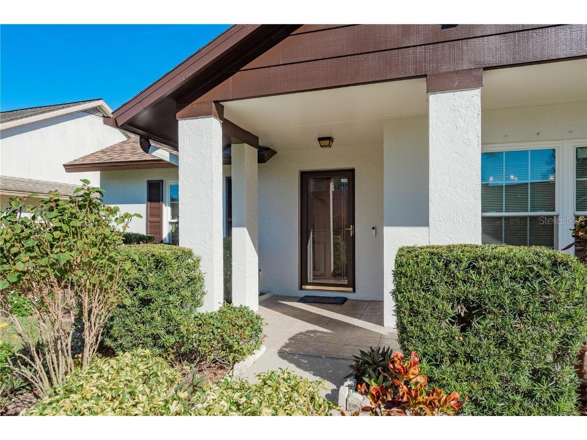 14931 Redcliff Drive Tampa FL 33625 TB8441526 image7