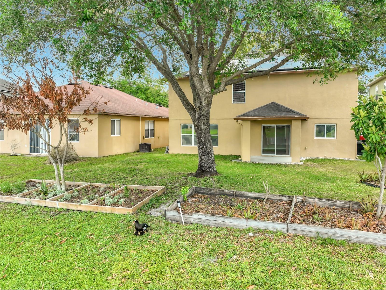 14932 Perdido Drive Orlando FL 32828 O6394721 image26