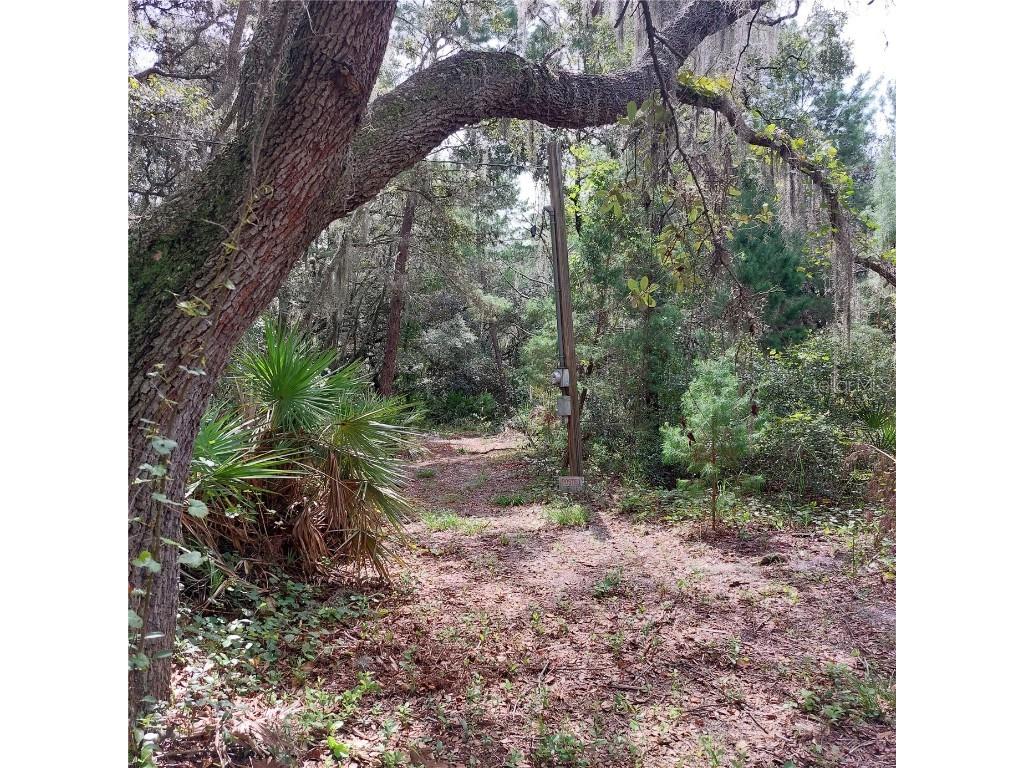 14934 Carlton Lake Road Wimauma FL 33598 T3394583 image1