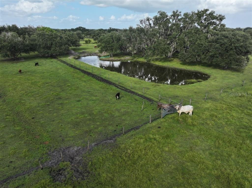 14935 Coker Gully Road Myakka City FL 34251 A4668257 image11