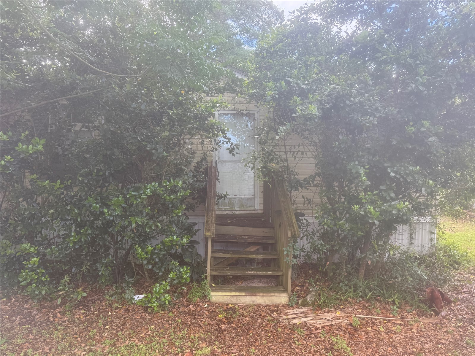 14935 SE 47th Court Summerfield FL 34491 OM722486 image2