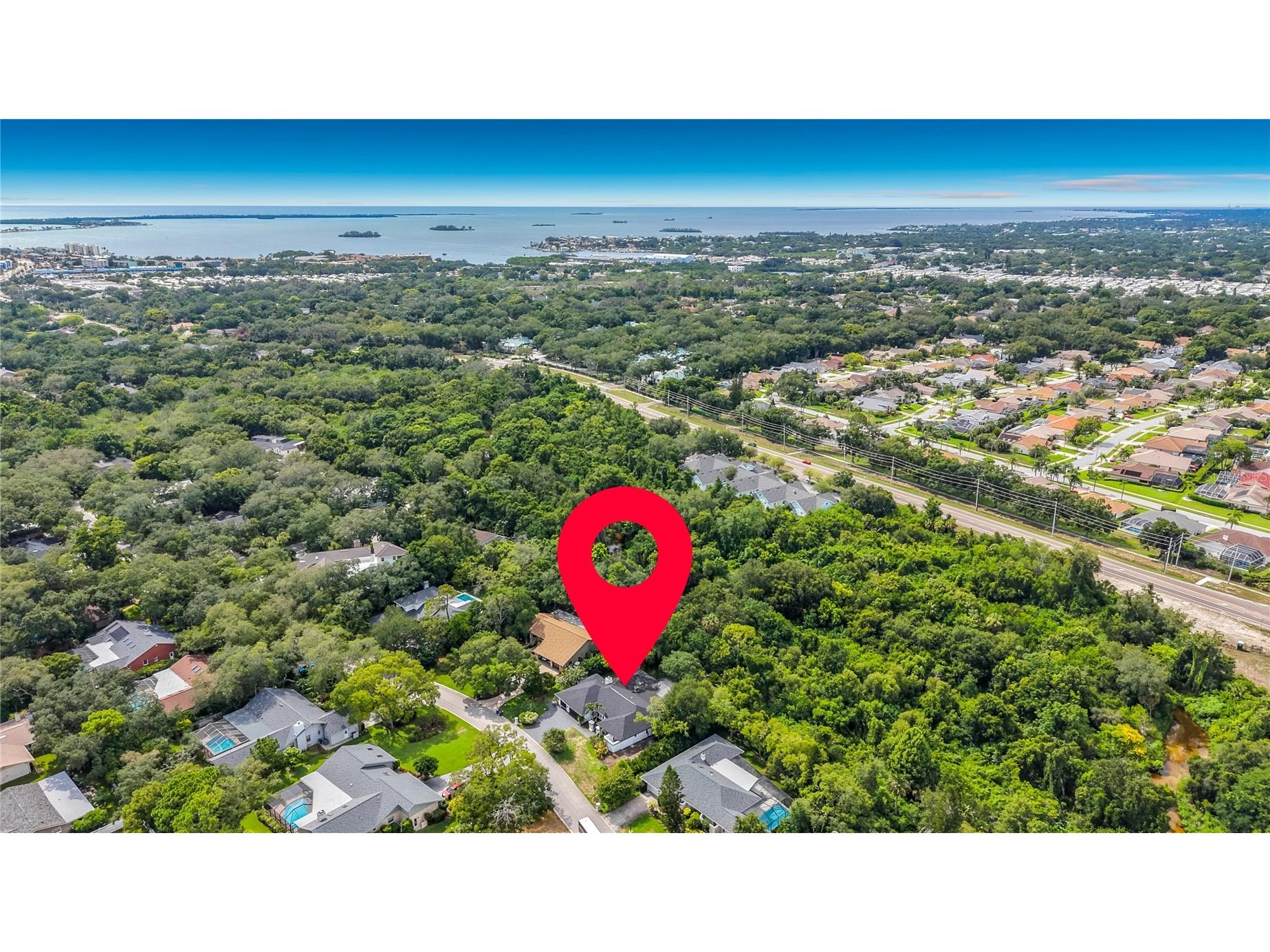 1494 Sturbridge Court Dunedin FL 34698 TB8520714 image4