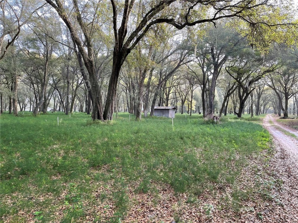 1494 Tilly Byrd Road Seville FL 32190 V4937508 image4