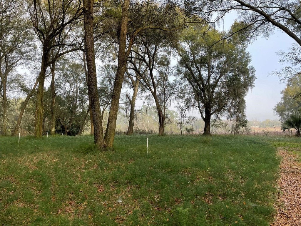 1494 Tilly Byrd Road Seville FL 32190 V4937508 image5