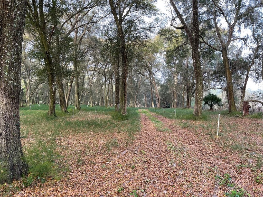 1494 Tilly Byrd Road Seville FL 32190 V4937508 image6