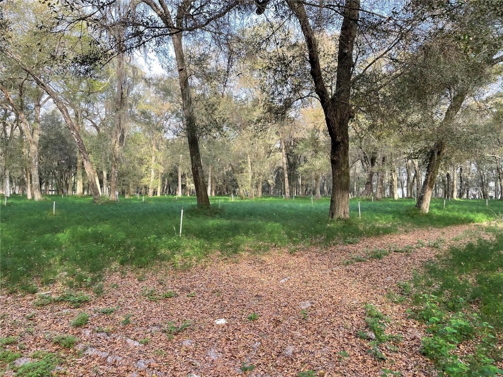 1494 Tilly Byrd Road Seville FL 32190 V4937508 image8