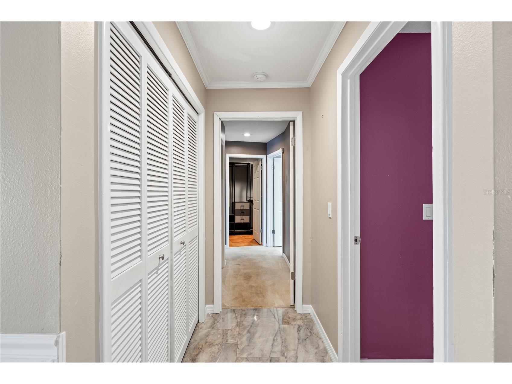 14947 Lake Forest Drive Lutz FL 33559 TB8489442 image31