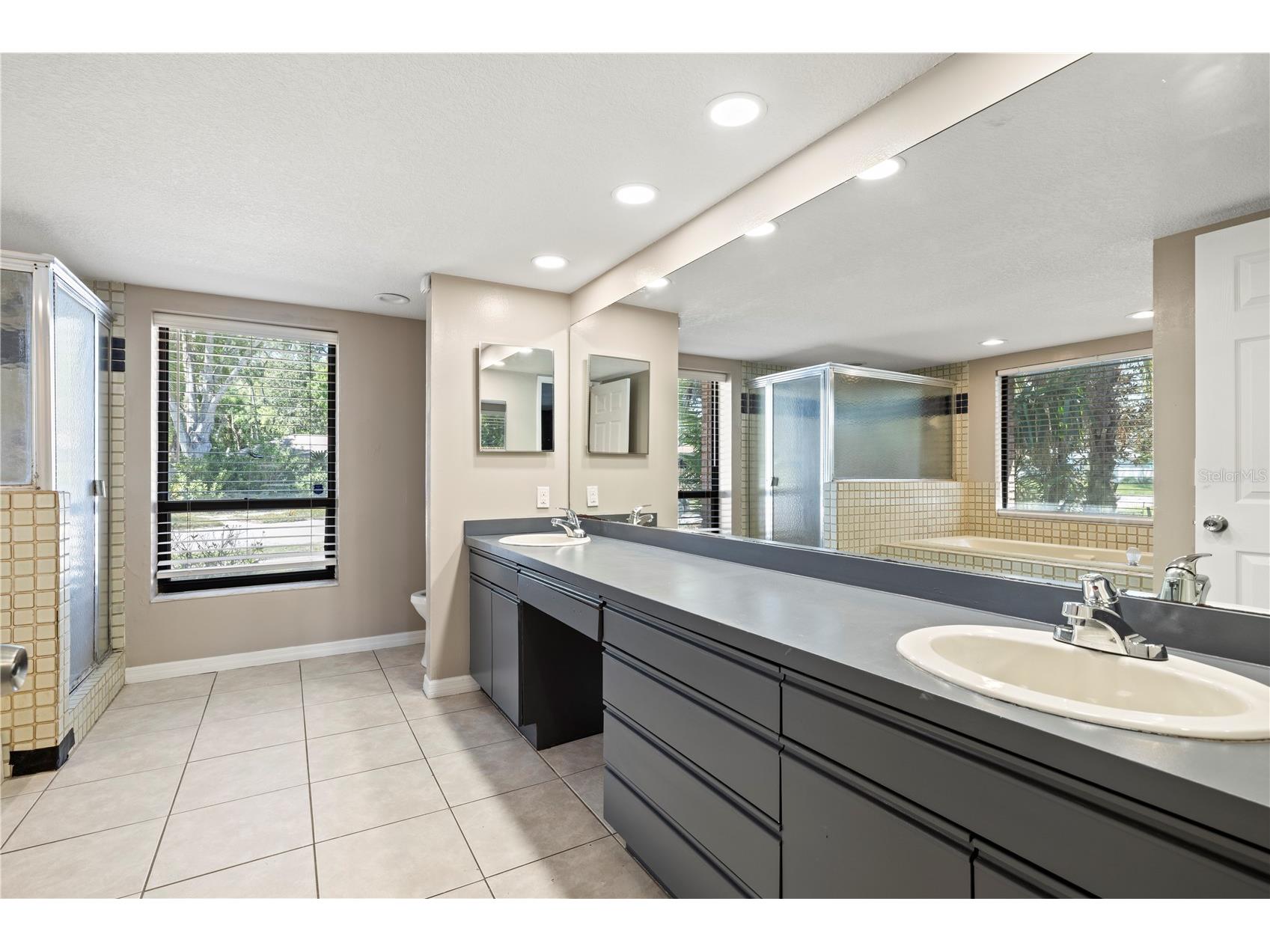 14947 Lake Forest Drive Lutz FL 33559 TB8489442 image35