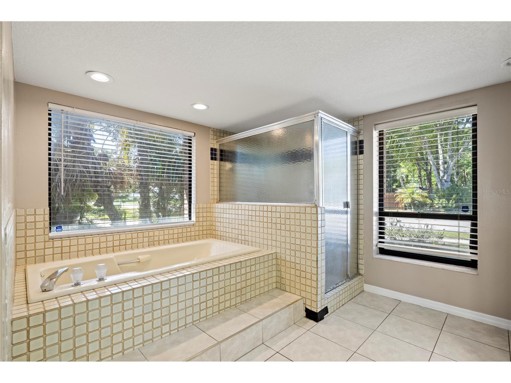 14947 Lake Forest Drive Lutz FL 33559 TB8489442 image36
