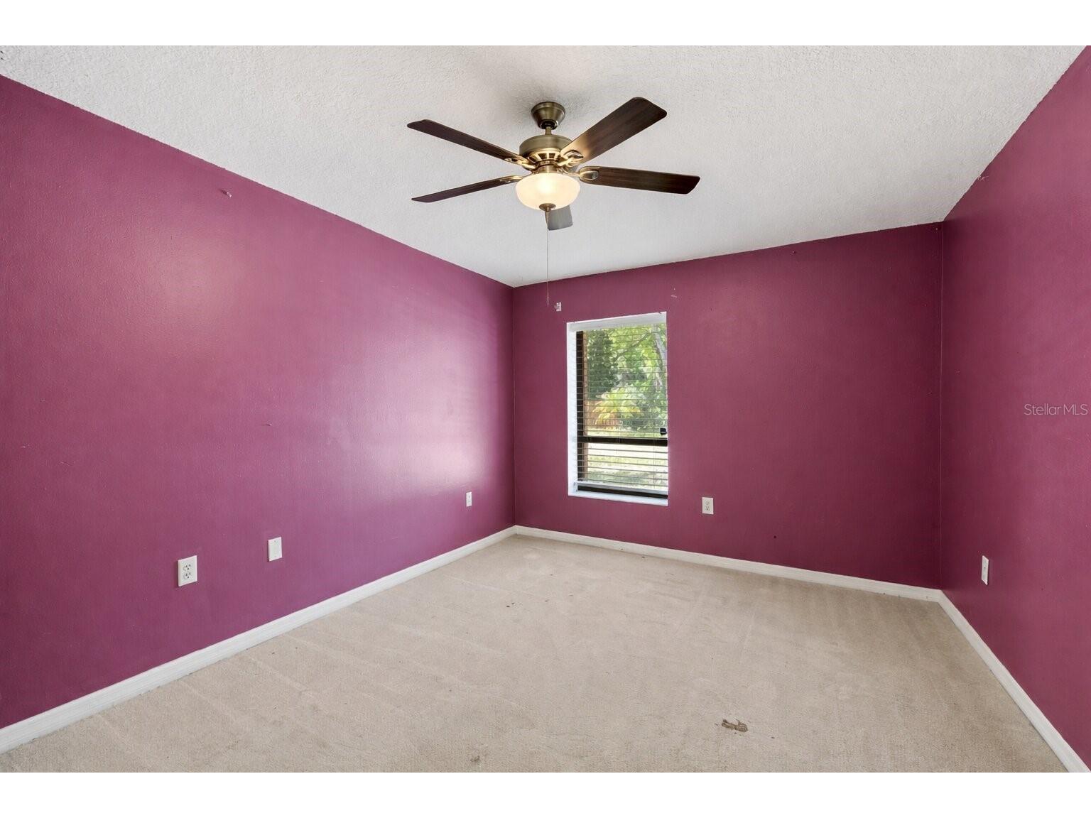 14947 Lake Forest Drive Lutz FL 33559 TB8489442 image46