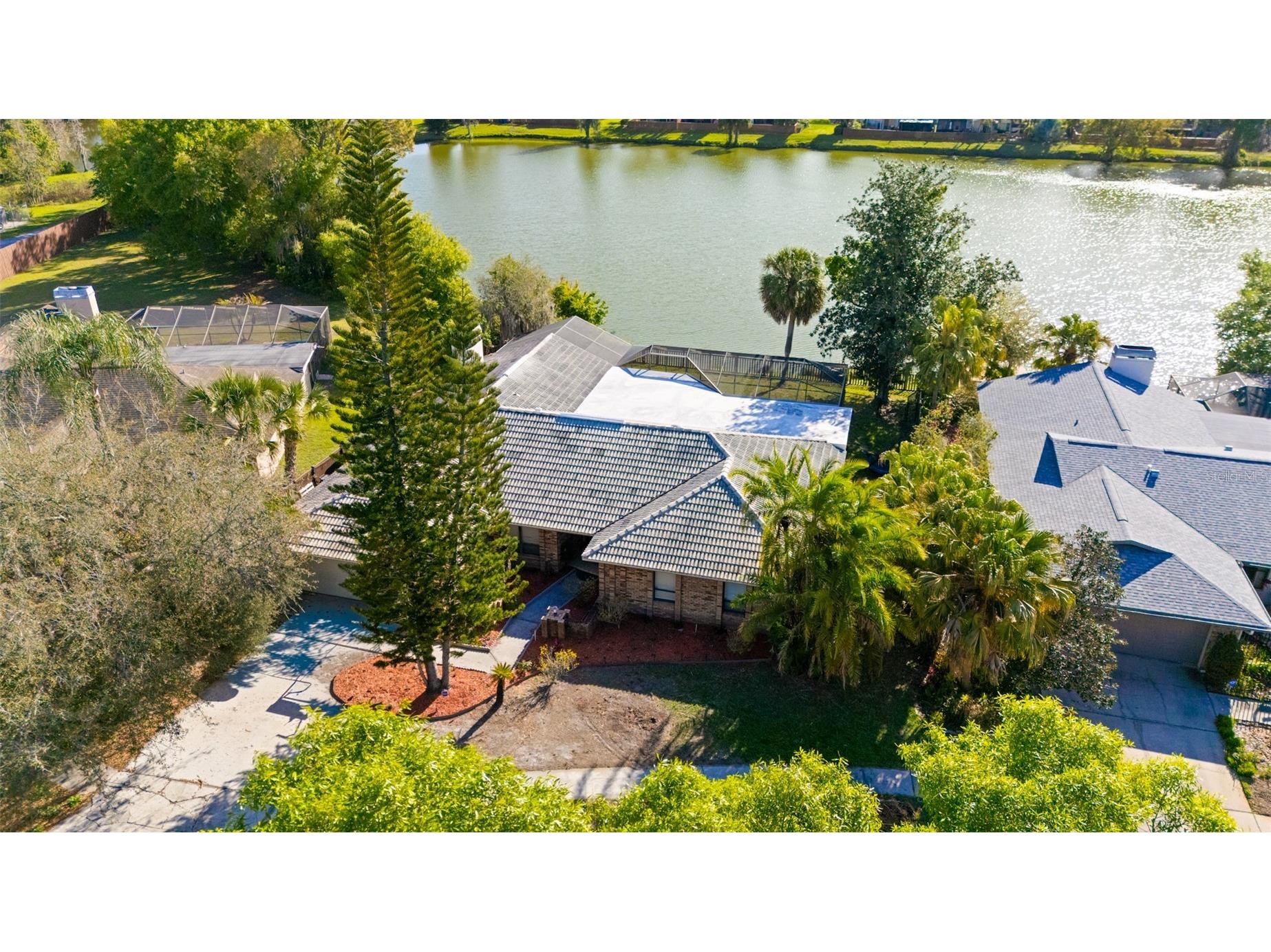 14947 Lake Forest Drive Lutz FL 33559 TB8489442 image47