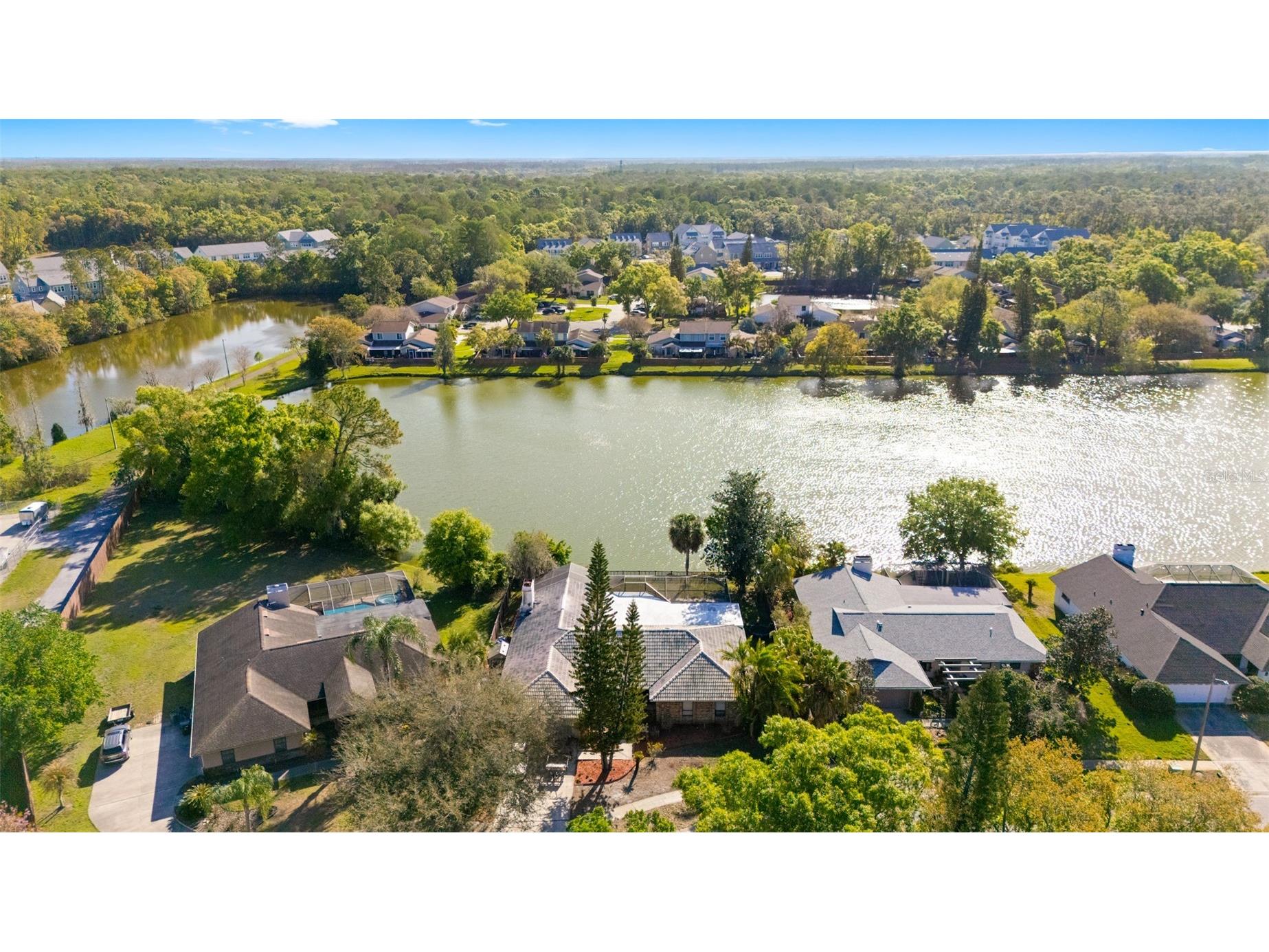 14947 Lake Forest Drive Lutz FL 33559 TB8489442 image48