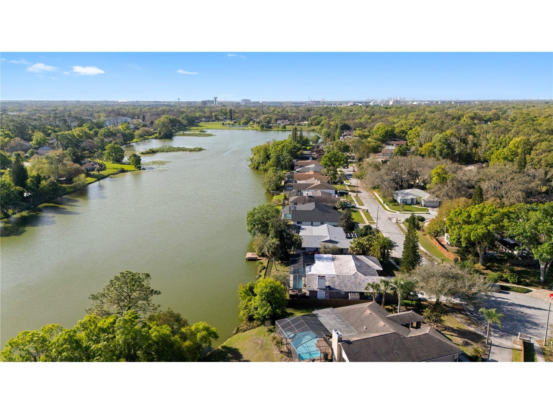 14947 Lake Forest Drive Lutz FL 33559 TB8489442 image49