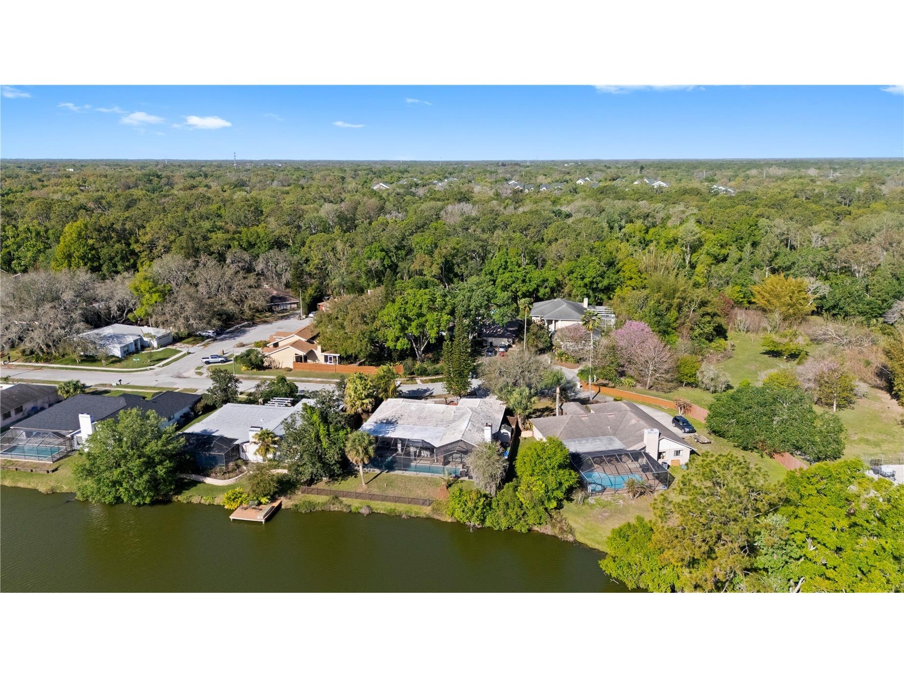 14947 Lake Forest Drive Lutz FL 33559 TB8489442 image50