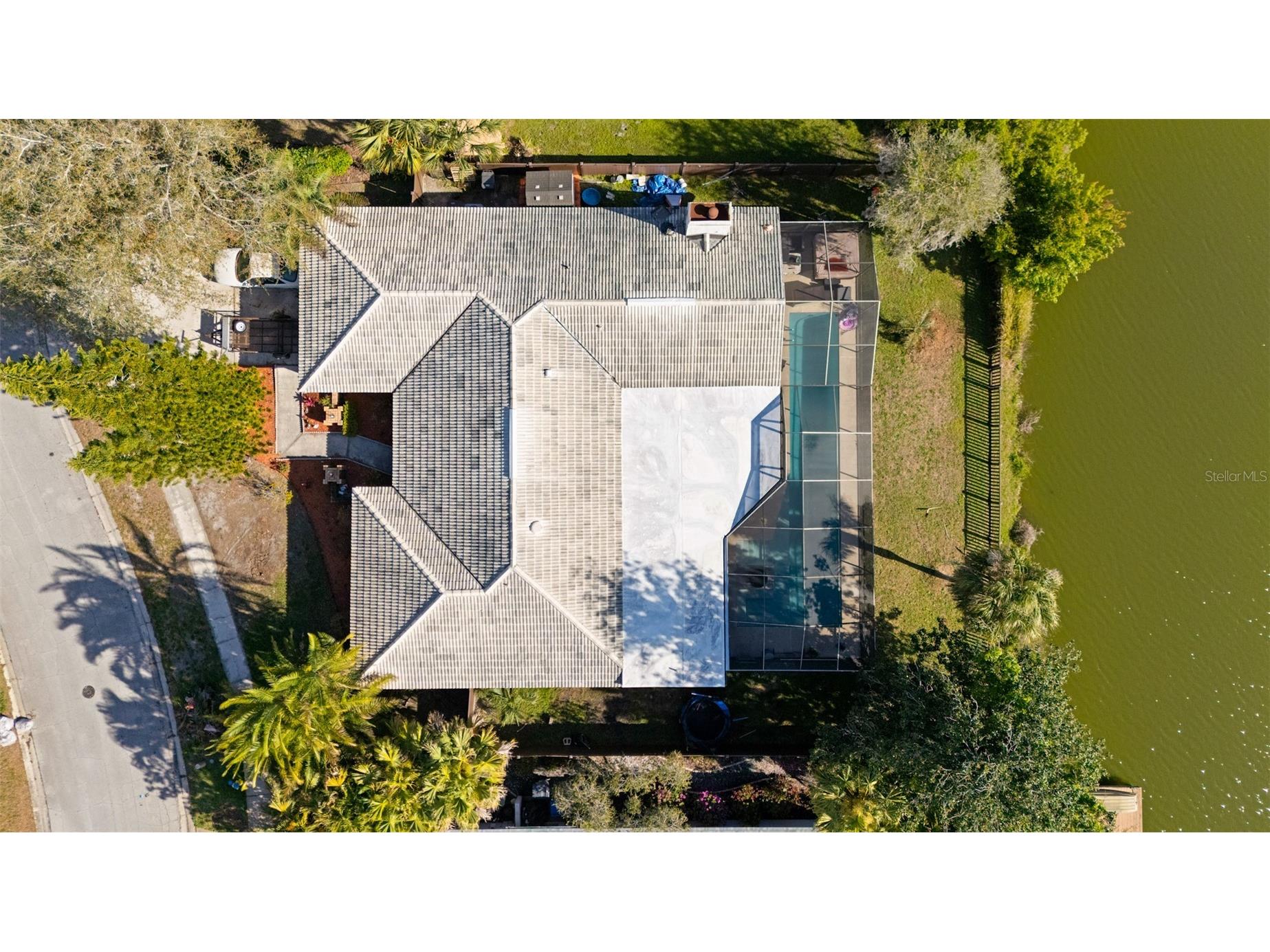 14947 Lake Forest Drive Lutz FL 33559 TB8489442 image53