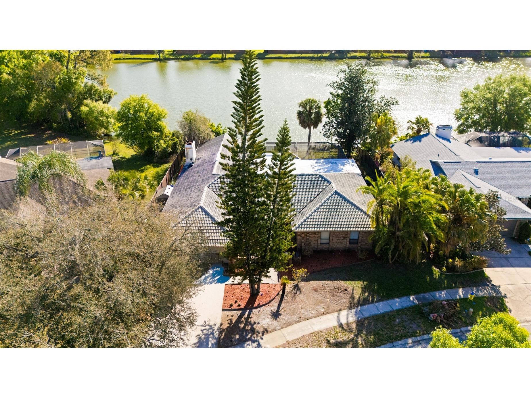 14947 Lake Forest Drive Lutz FL 33559 TB8489442 image56