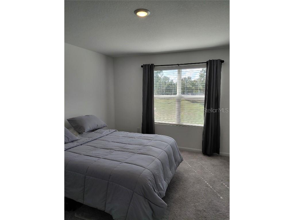 14947 Pisa Parkway Dade City FL 33523 G5102638 image10