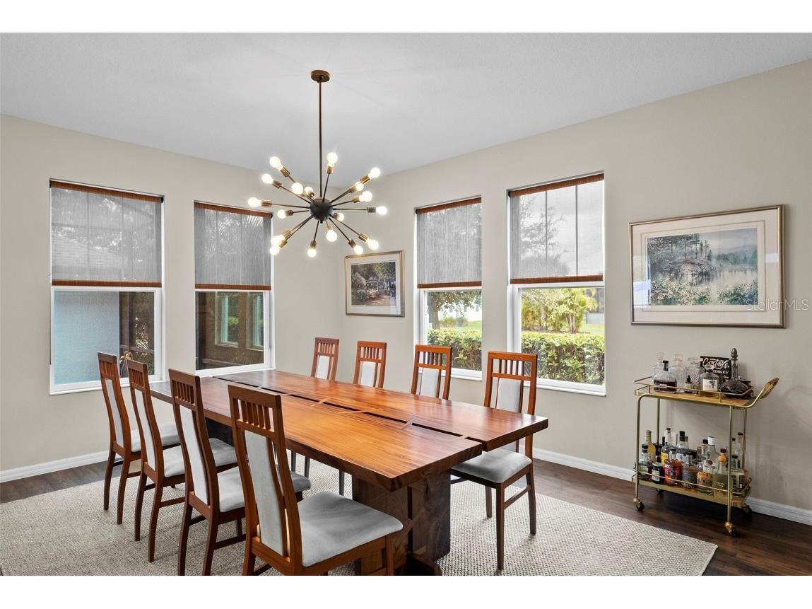 14948 Renaissance Avenue Odessa FL 33556 TB8423348 image16