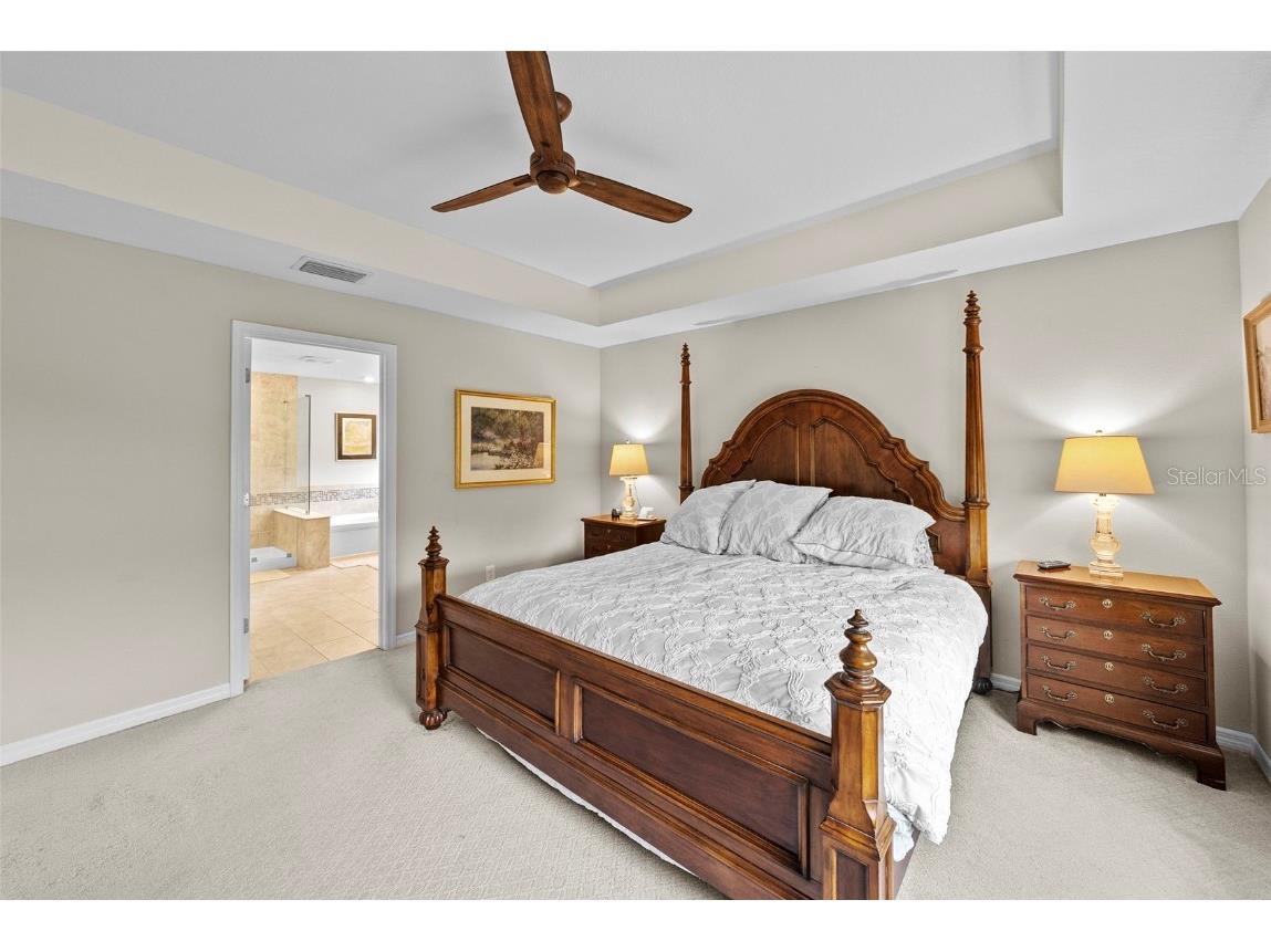 14948 Renaissance Avenue Odessa FL 33556 TB8423348 image24