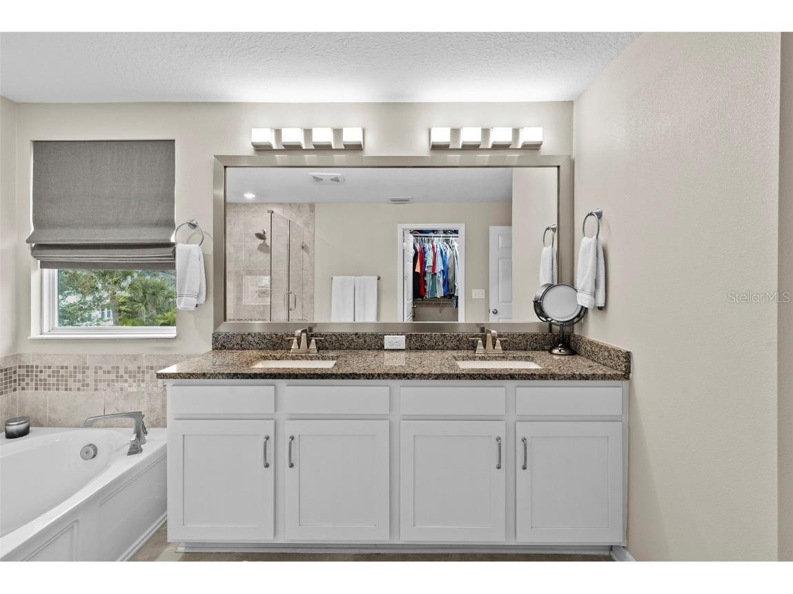 14948 Renaissance Avenue Odessa FL 33556 TB8423348 image27