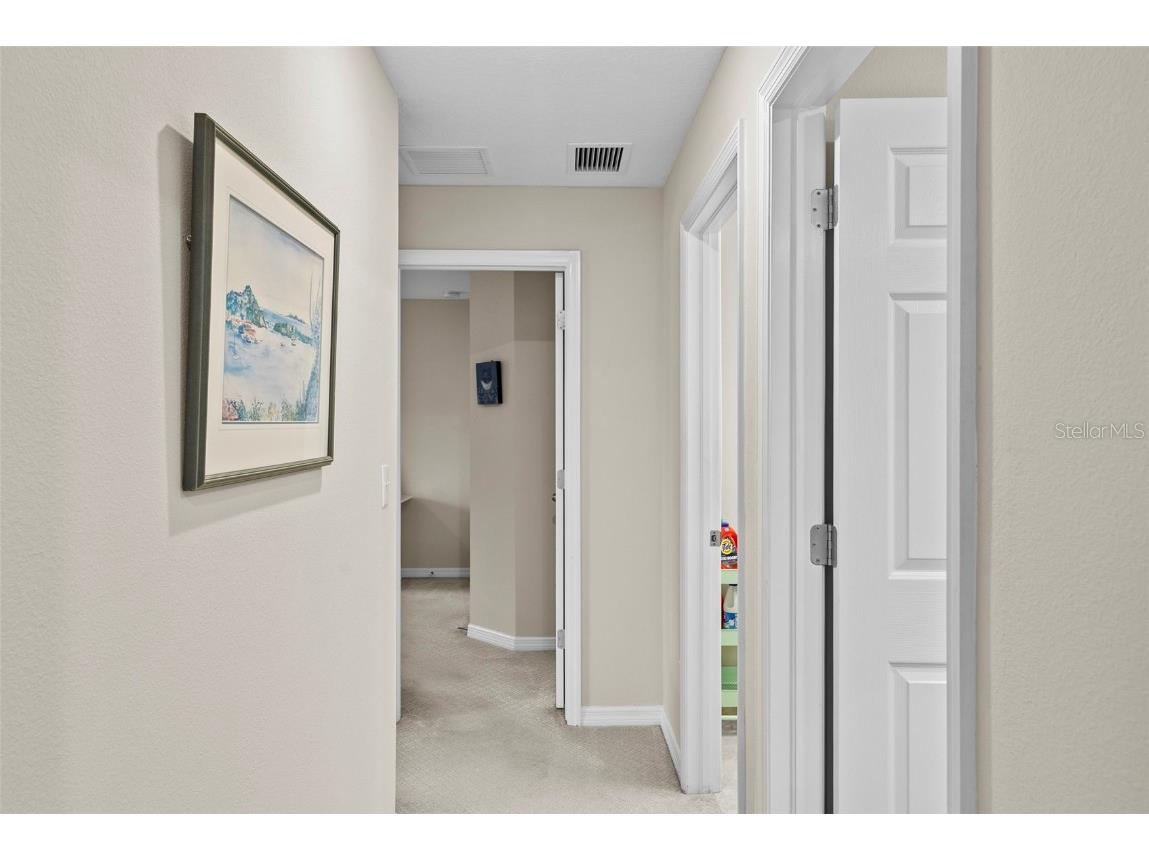 14948 Renaissance Avenue Odessa FL 33556 TB8423348 image29