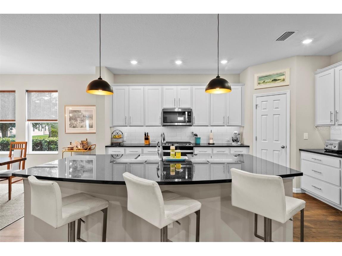 14948 Renaissance Avenue Odessa FL 33556 TB8423348 image4