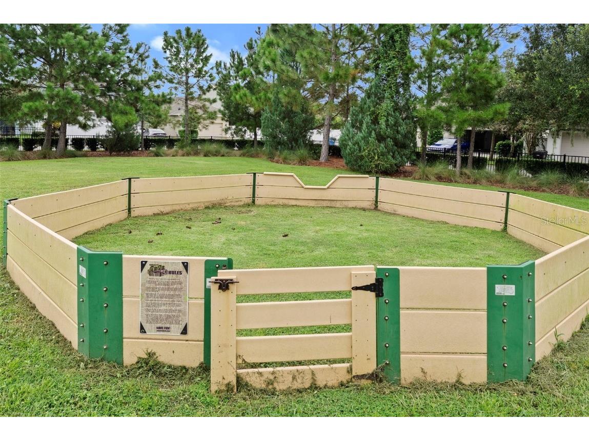 14948 Renaissance Avenue Odessa FL 33556 TB8423348 image52