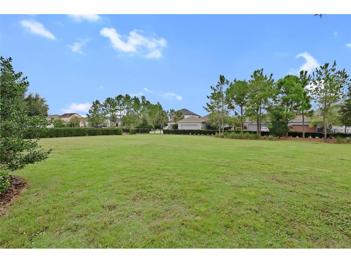 14948 Renaissance Avenue Odessa FL 33556 TB8423348 image55