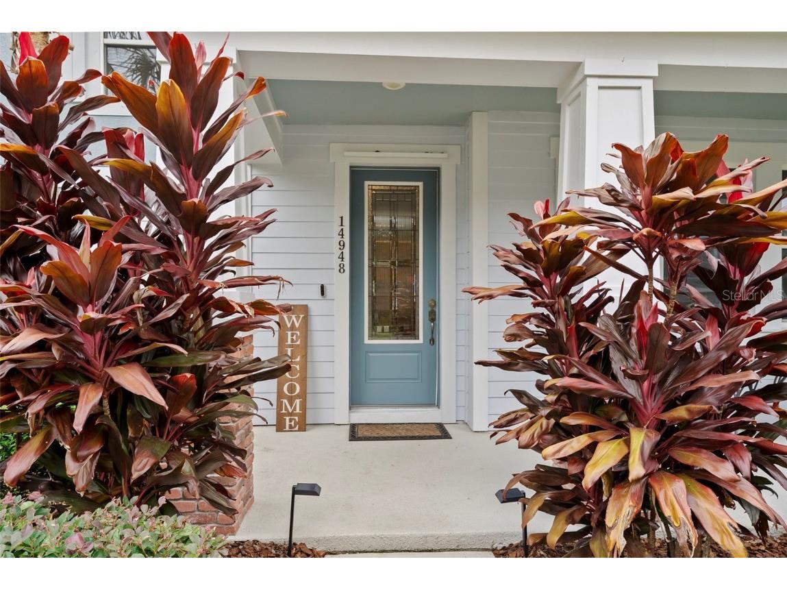 14948 Renaissance Avenue Odessa FL 33556 TB8423348 image6