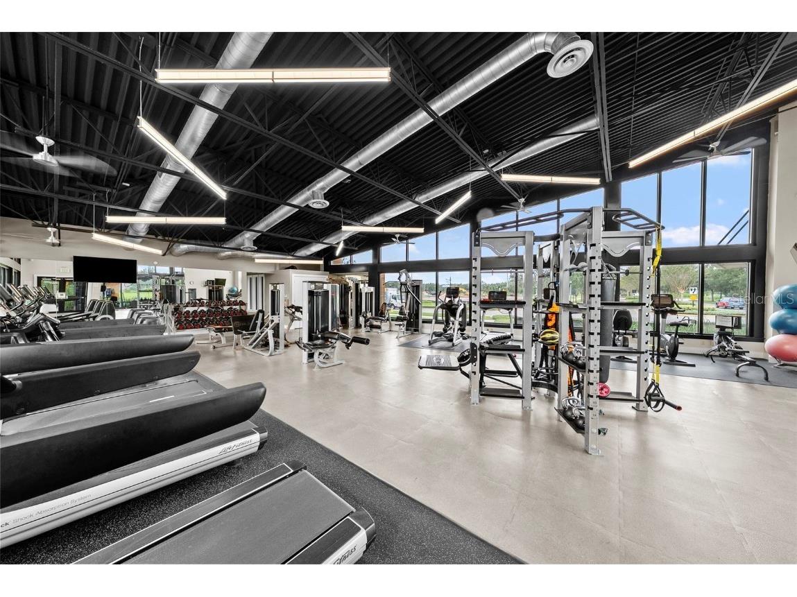 14948 Renaissance Avenue Odessa FL 33556 TB8423348 image65