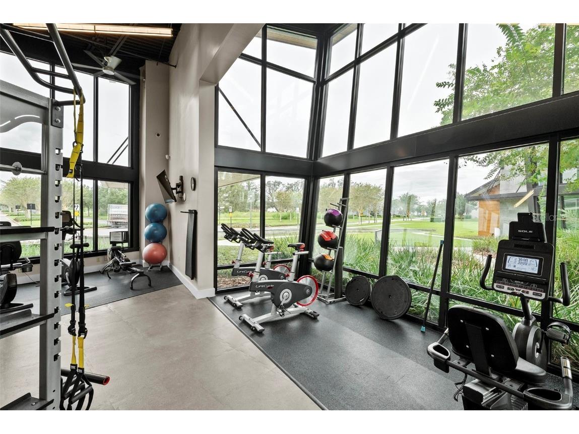 14948 Renaissance Avenue Odessa FL 33556 TB8423348 image66