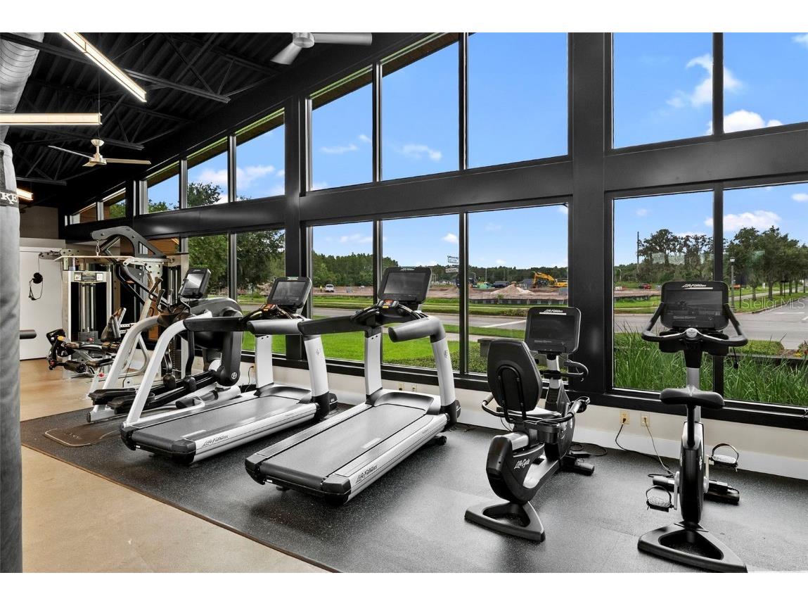 14948 Renaissance Avenue Odessa FL 33556 TB8423348 image67