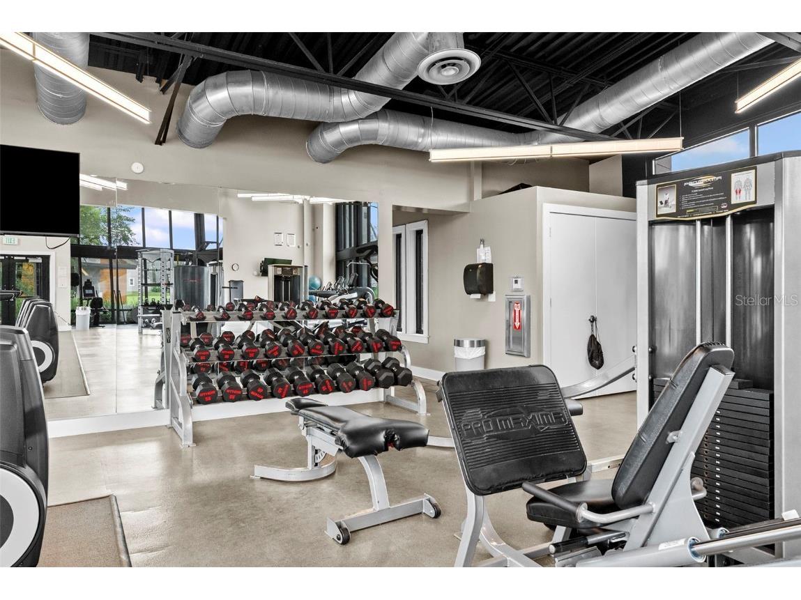 14948 Renaissance Avenue Odessa FL 33556 TB8423348 image68