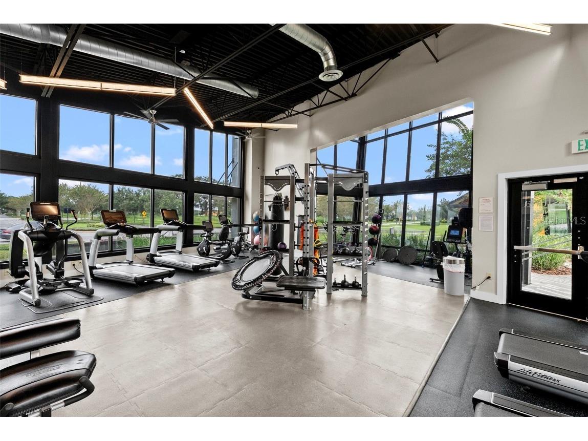 14948 Renaissance Avenue Odessa FL 33556 TB8423348 image69