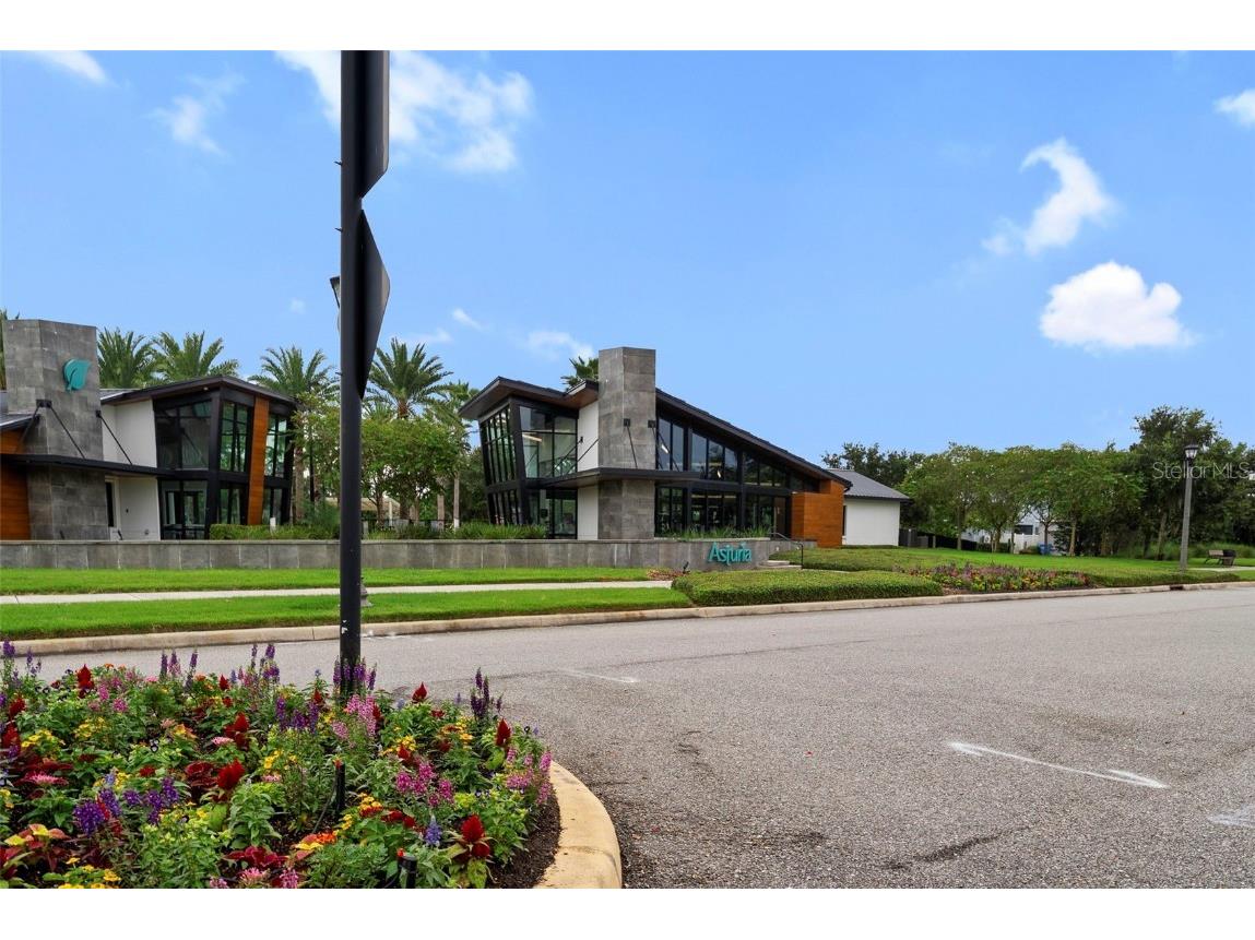 14948 Renaissance Avenue Odessa FL 33556 TB8423348 image70