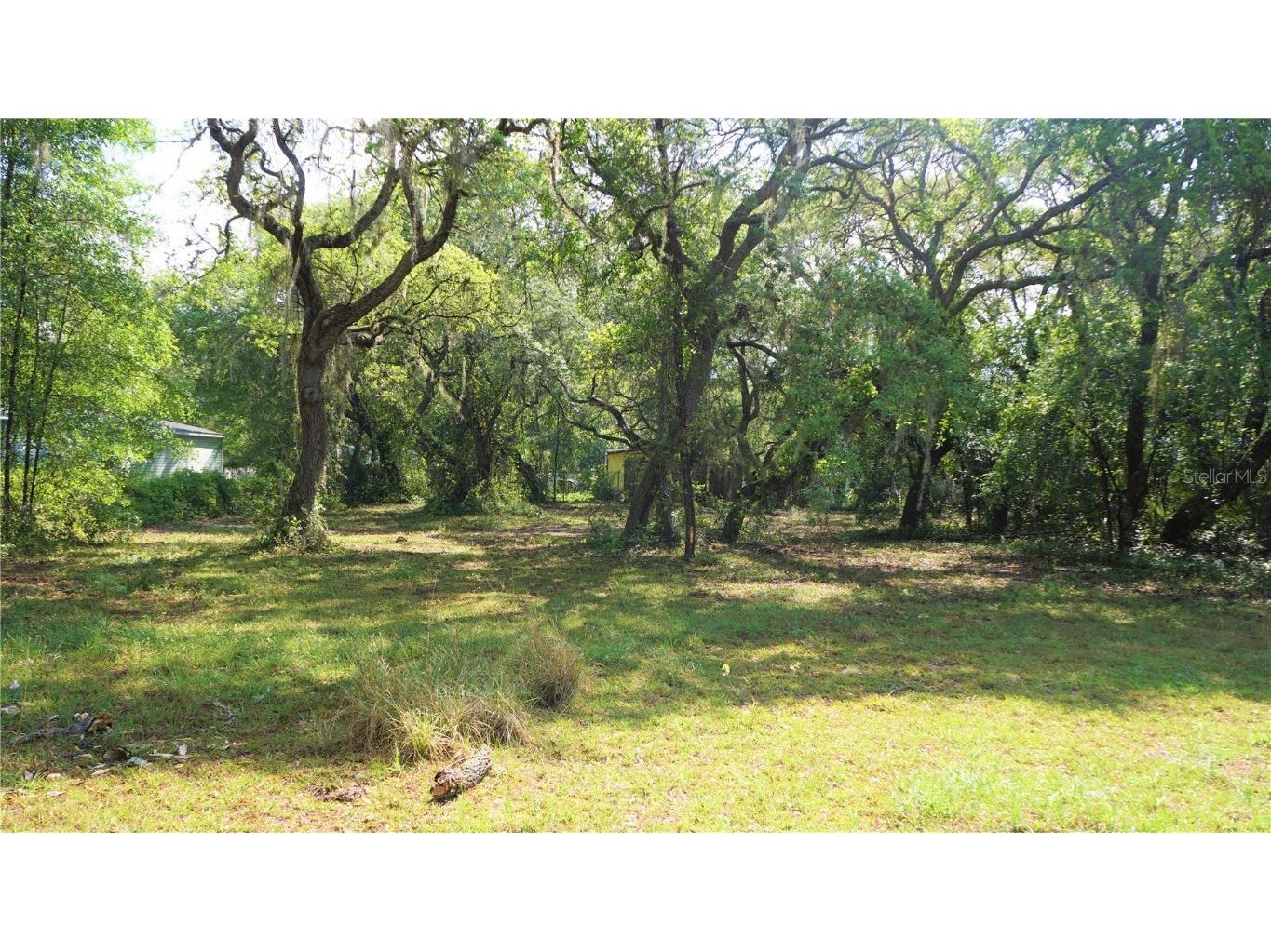 14949 NE 146th Court Fort Mc Coy FL 32134 G5053952 image1