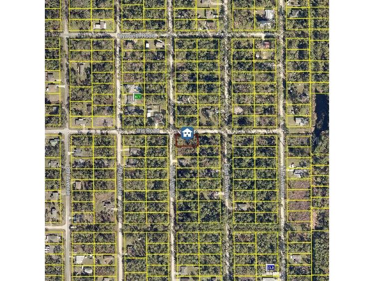 1495 10th Avenue Deland FL 32724 S5137474 image1