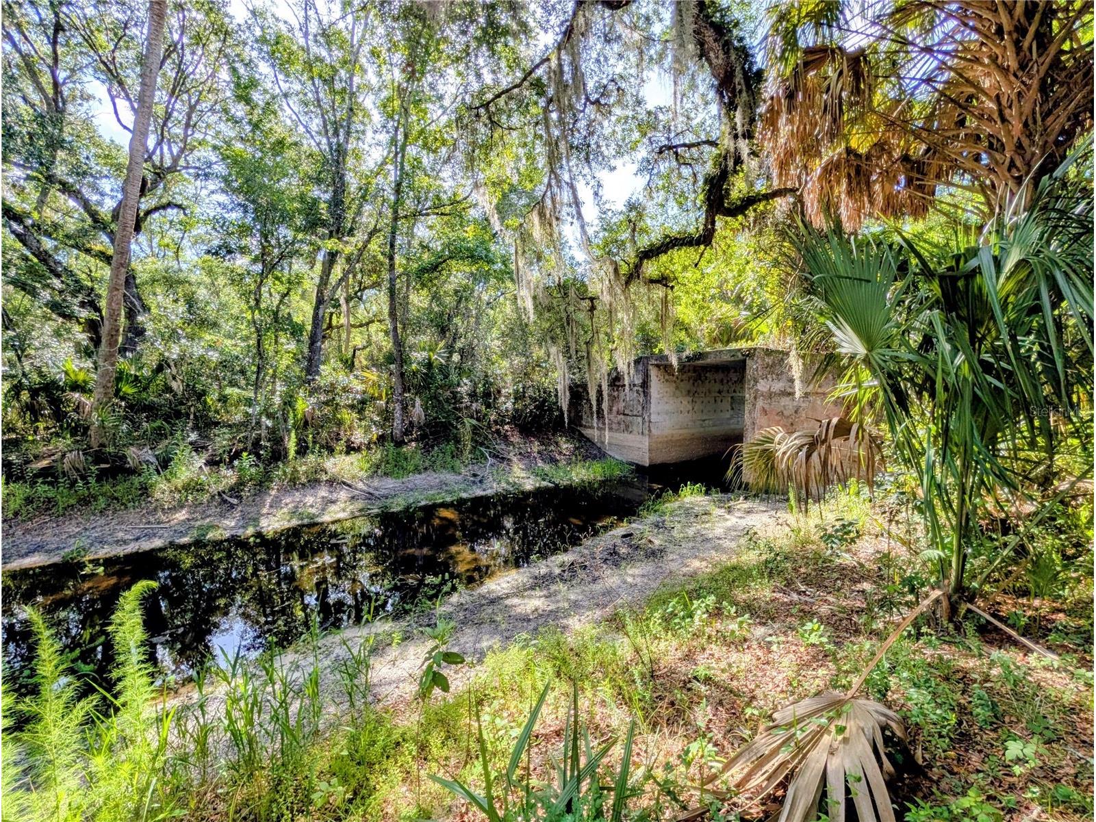 1495 N Toro Drive Inverness FL 34453 - TSALA APOPKA CHAIN OF LAKES A4696451 image2