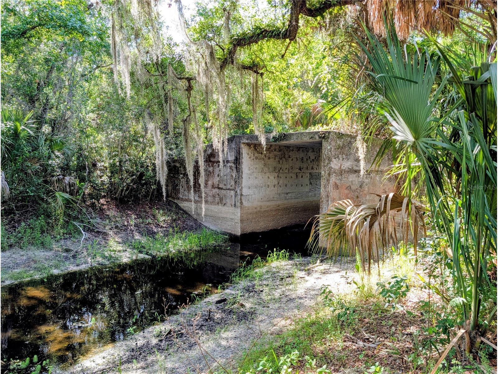 1495 N Toro Drive Inverness FL 34453 - TSALA APOPKA CHAIN OF LAKES A4696451 image3