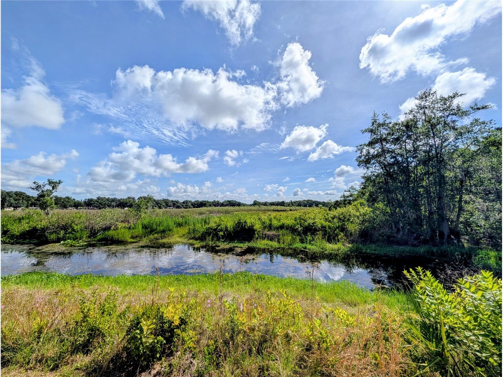 1495 N Toro Drive Inverness FL 34453 - TSALA APOPKA CHAIN OF LAKES A4696451 image5