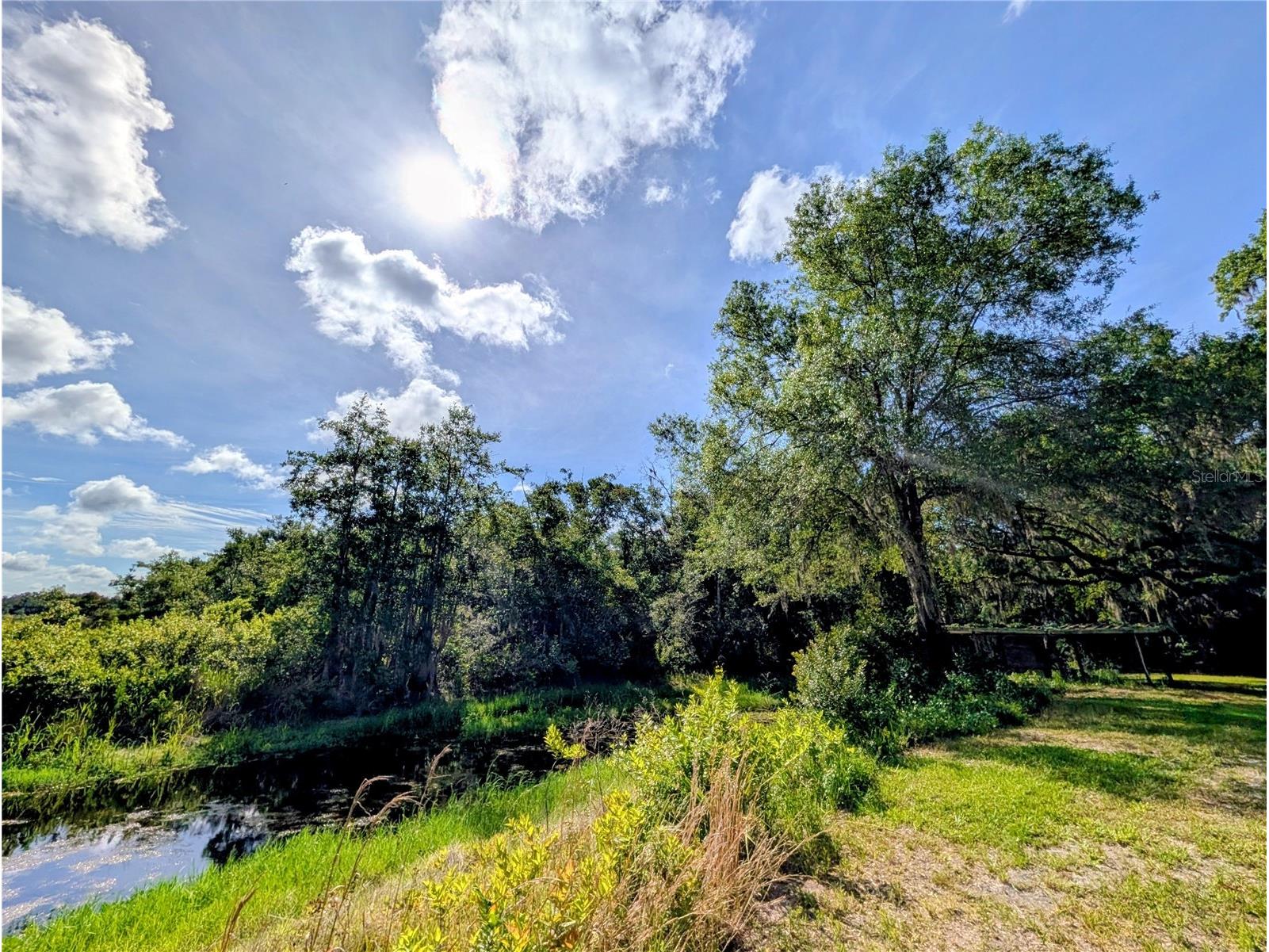 1495 N Toro Drive Inverness FL 34453 - TSALA APOPKA CHAIN OF LAKES A4696451 image6