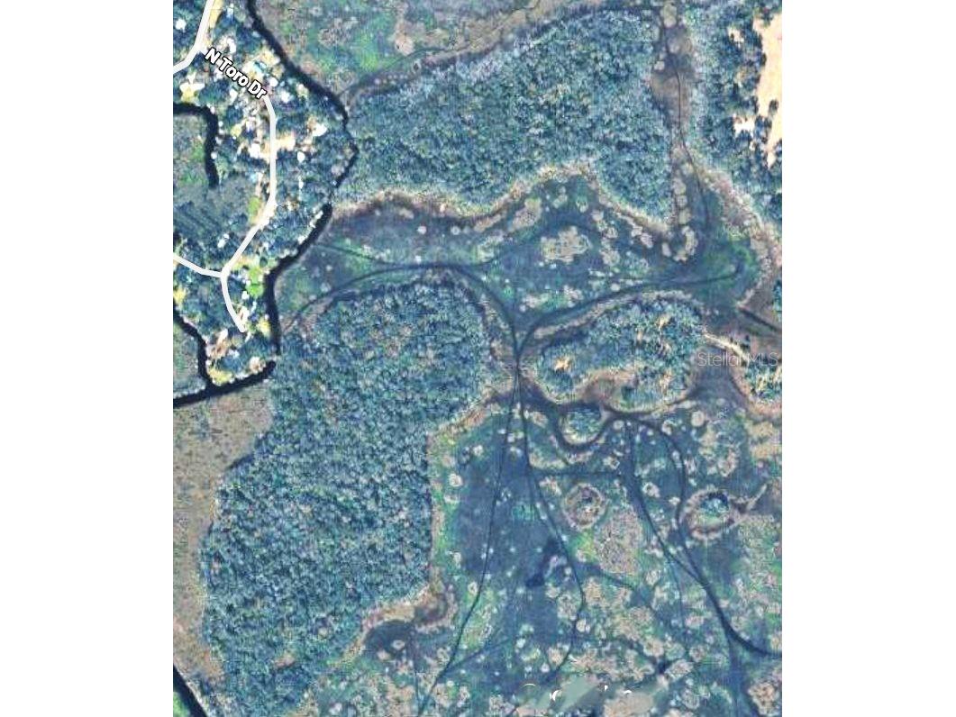 1495 N Toro Drive Inverness FL 34453 - TSALA APOPKA CHAIN OF LAKES A4696451 image7