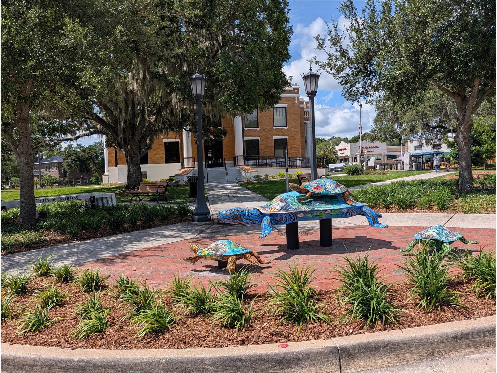 1495 N Toro Drive Inverness FL 34453 - TSALA APOPKA CHAIN OF LAKES A4696451 image9