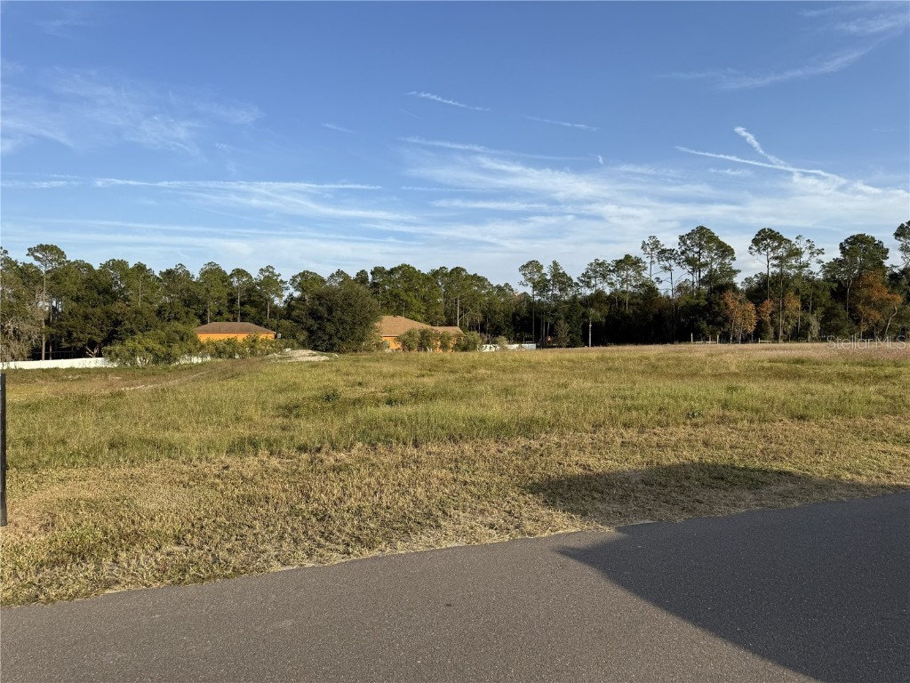 14950 Mim Place Dade City FL 33525 TB8451106 image1