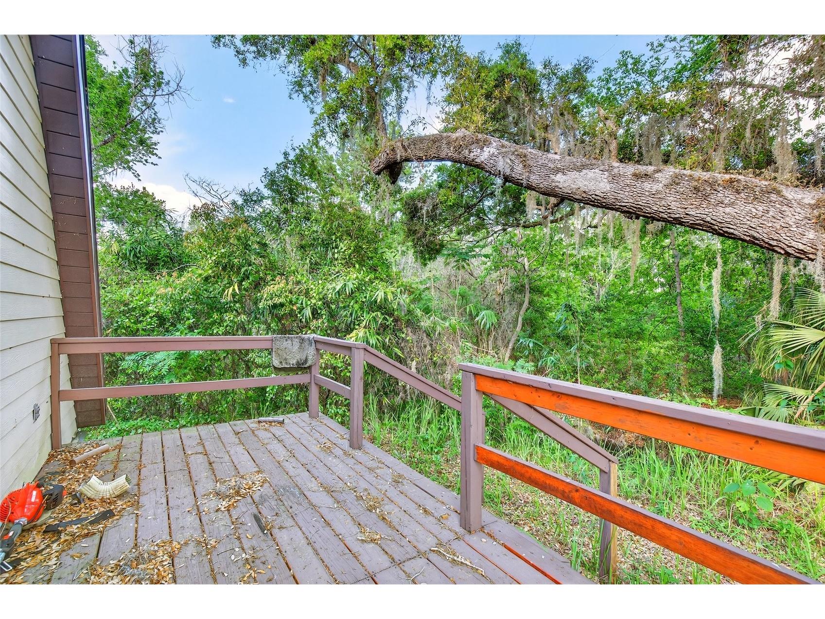 14953 SE 107th Avenue Summerfield FL 34491 OM721705 image25