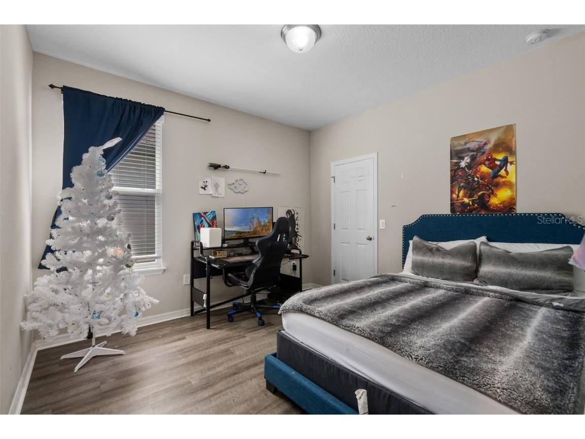 14954 Guava Bay Drive Winter Garden FL 34787 O6324753 image21