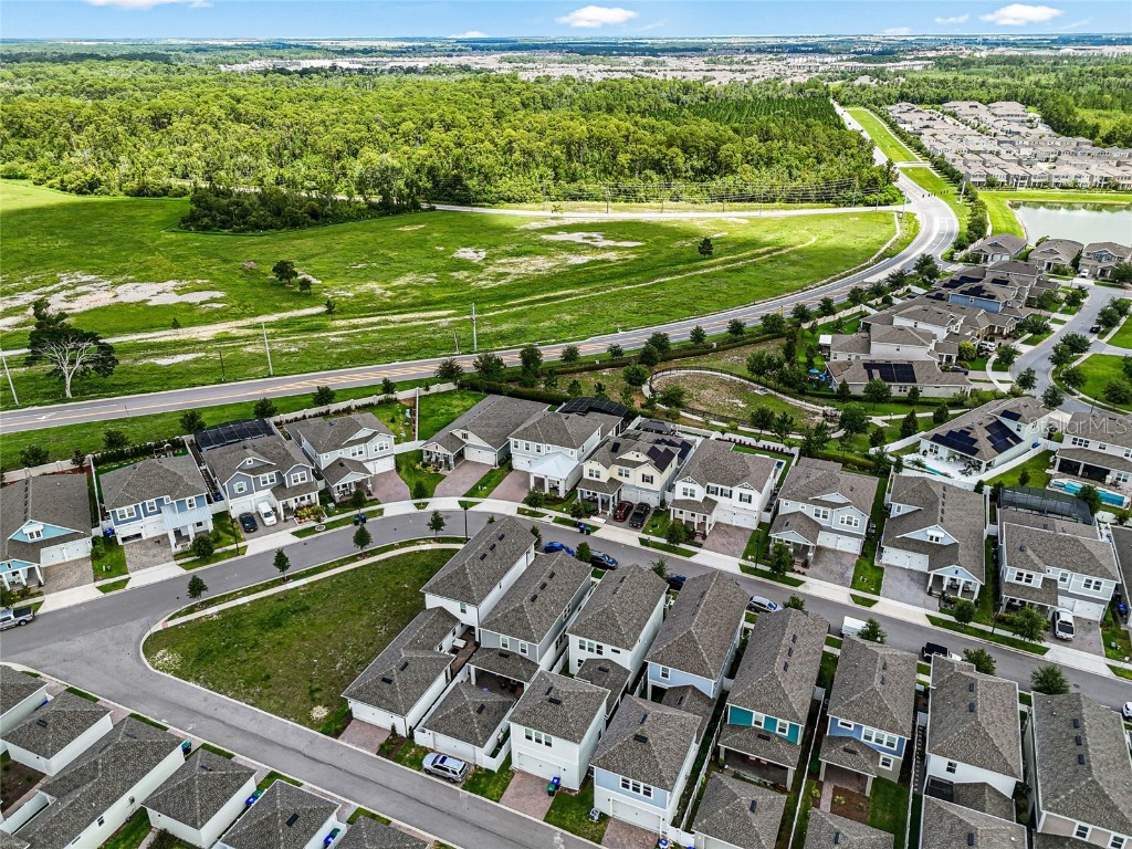 14955 Lebeau Loop Winter Garden FL 34787 O6362955 image46