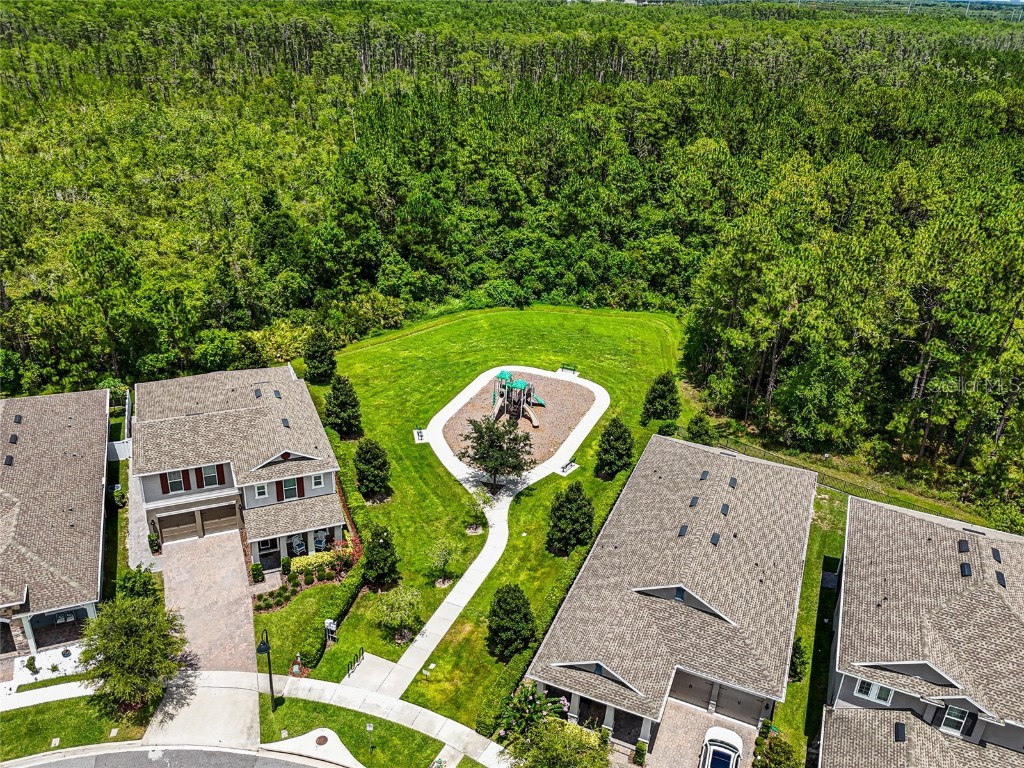 14955 Lebeau Loop Winter Garden FL 34787 O6362955 image50