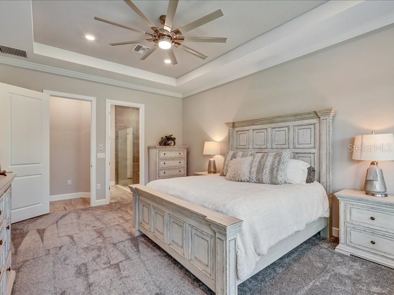 14958 Contenta Loop Bradenton FL 34211 A4688010 image16